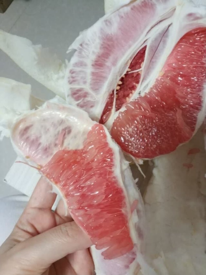 红心柚苗三红柚脆香甜柚子苗泰国红宝石青柚苗产地直供
