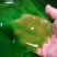臭黄荆树叶食品系列产品