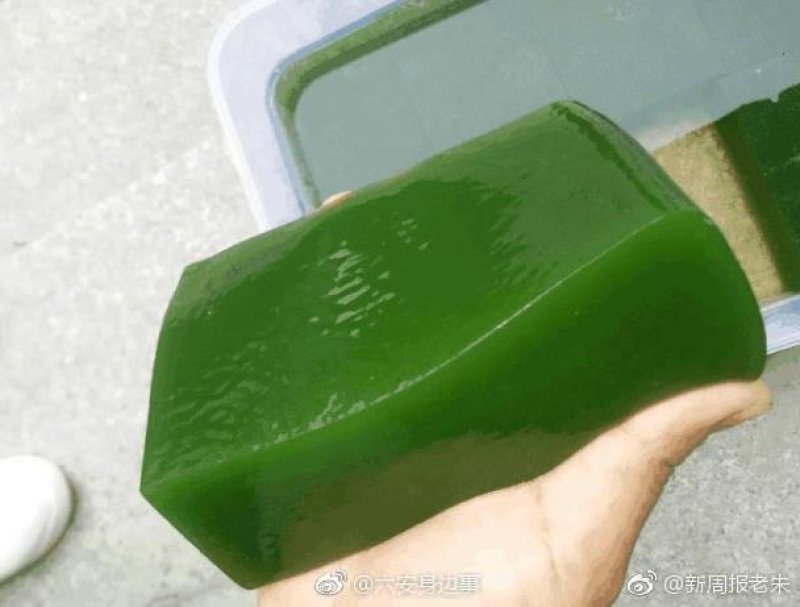 臭黄荆树叶食品系列产品