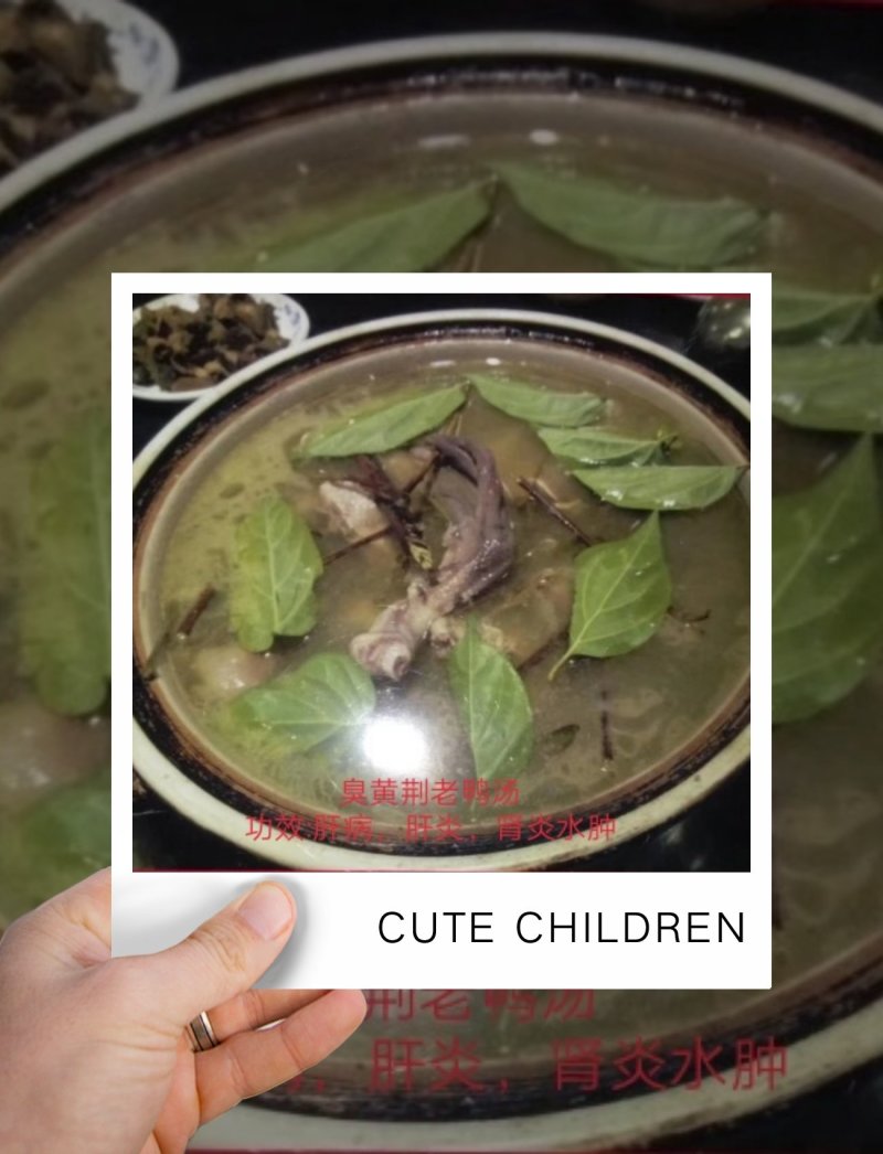 臭黄荆树叶食品系列产品