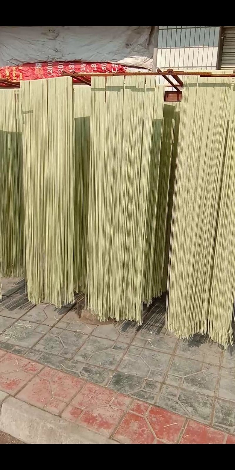 臭黄荆树产品系列