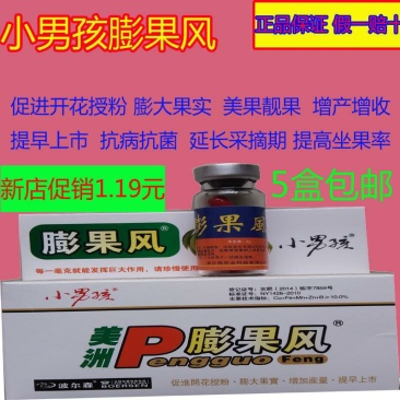 膨果风叶面肥番茄芸豆甜瓜西瓜增产膨大