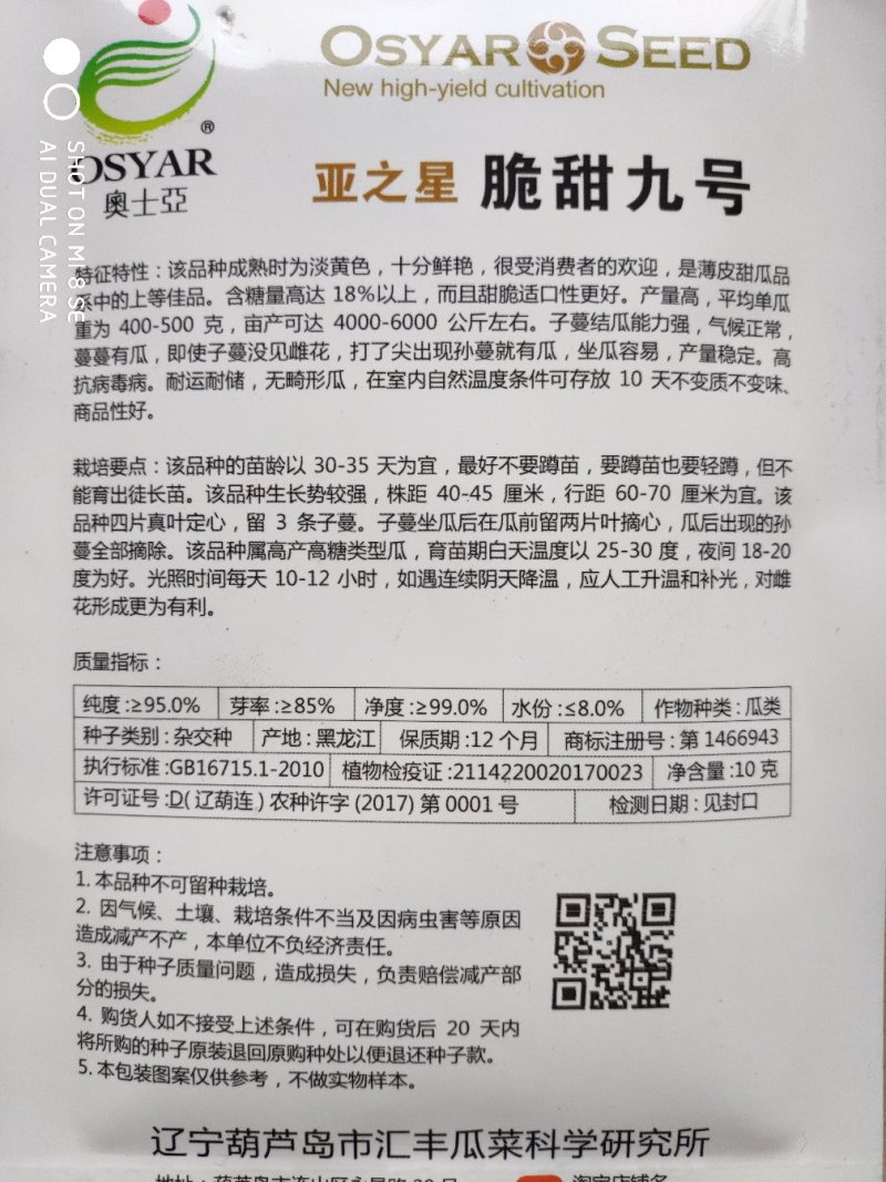 甜瓜种子一脆甜九号果实淡黄色口感好产量高