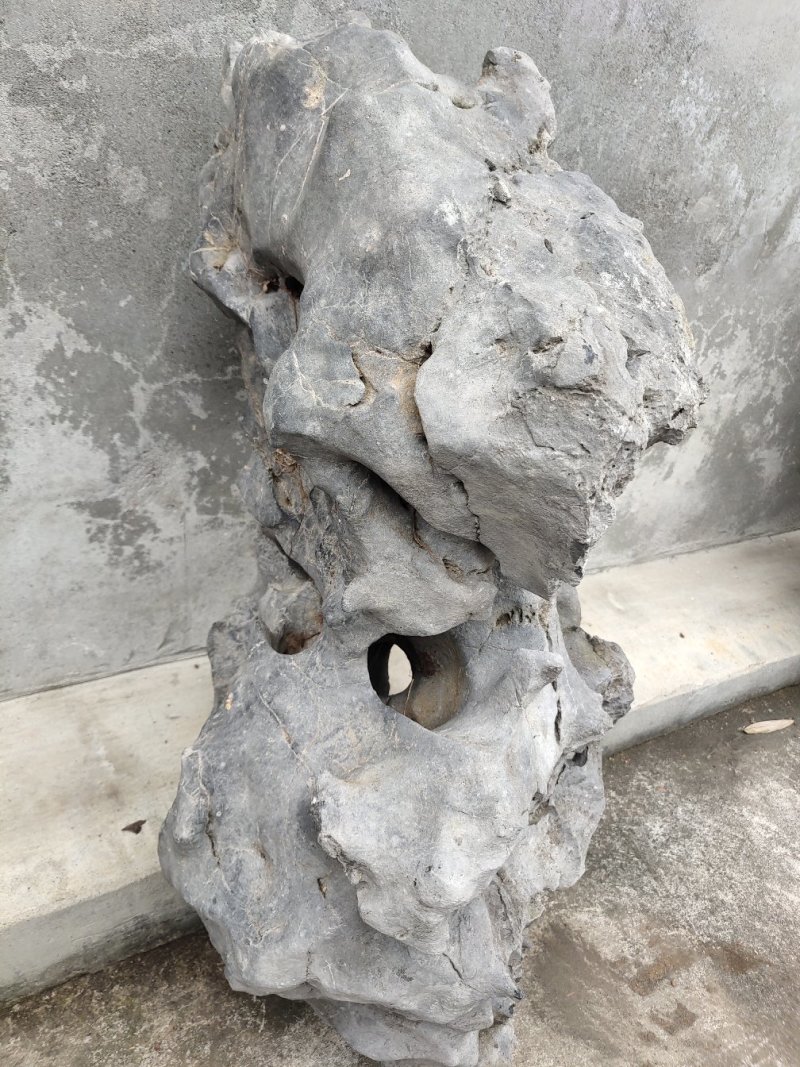盆景盆花