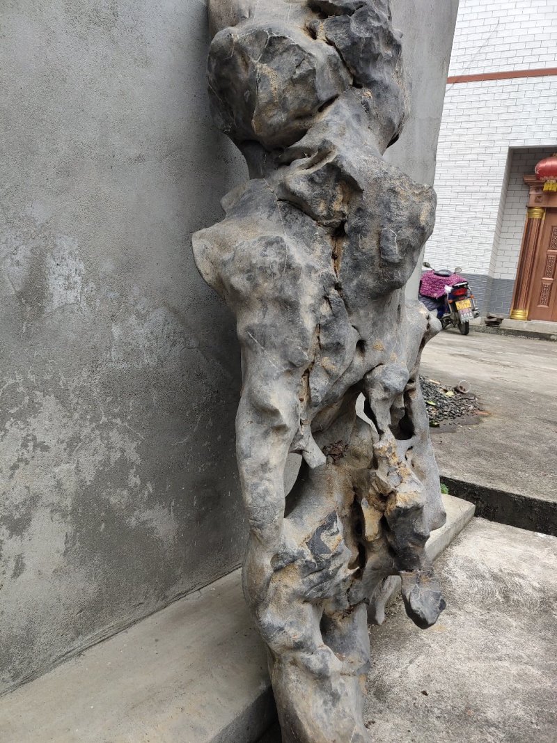盆景盆花