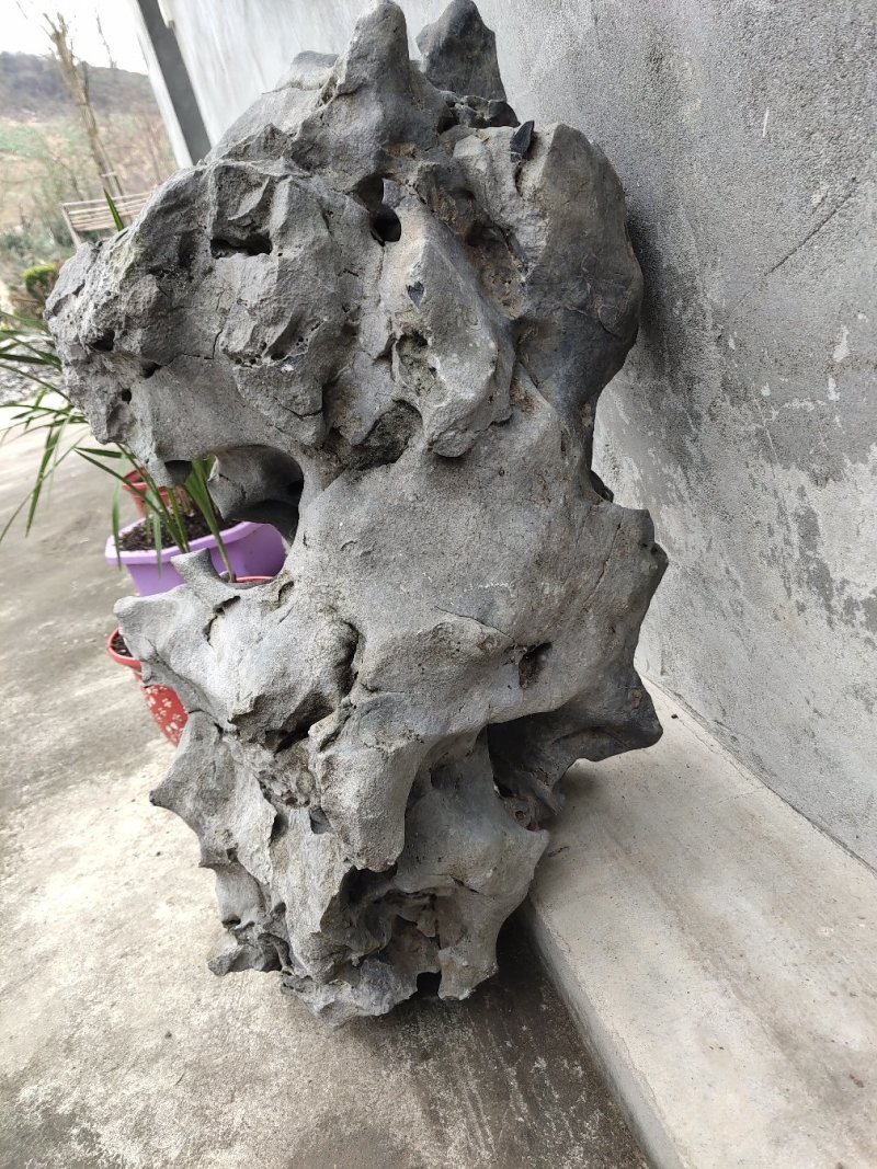 盆景盆花