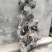 盆景盆花