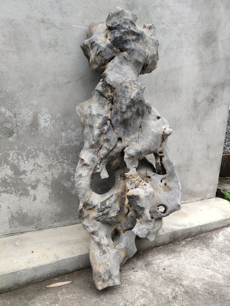 盆景盆花
