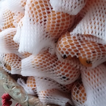 批杷