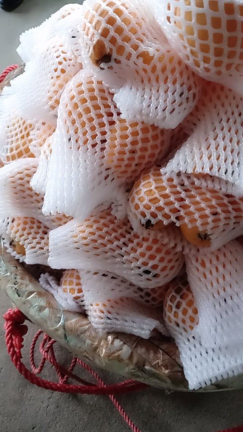 批杷