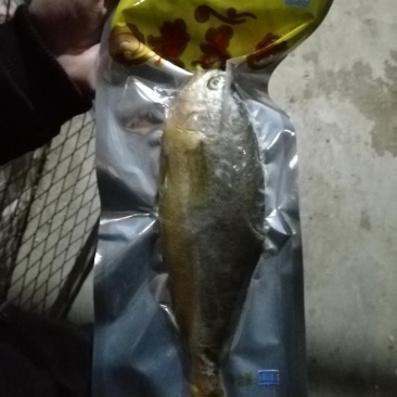 黄花鱼400g