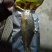 黄花鱼400g