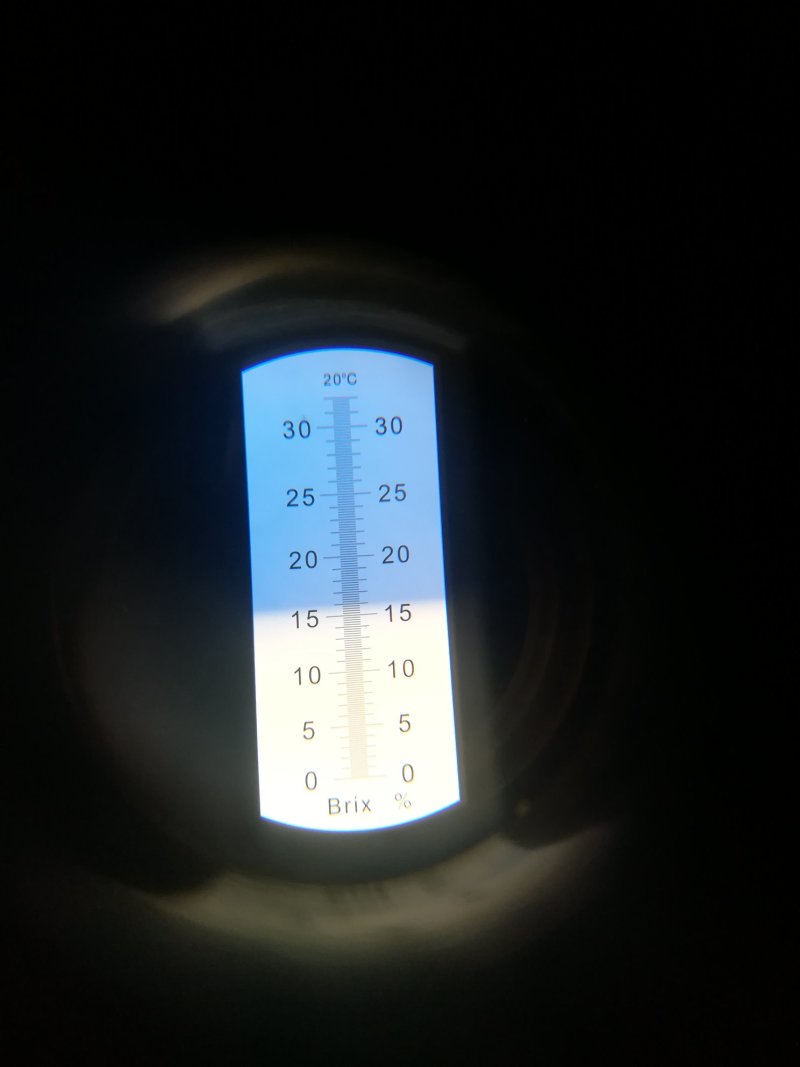 云南沃柑糖度高水分足货源充足诚信经营欢迎咨询