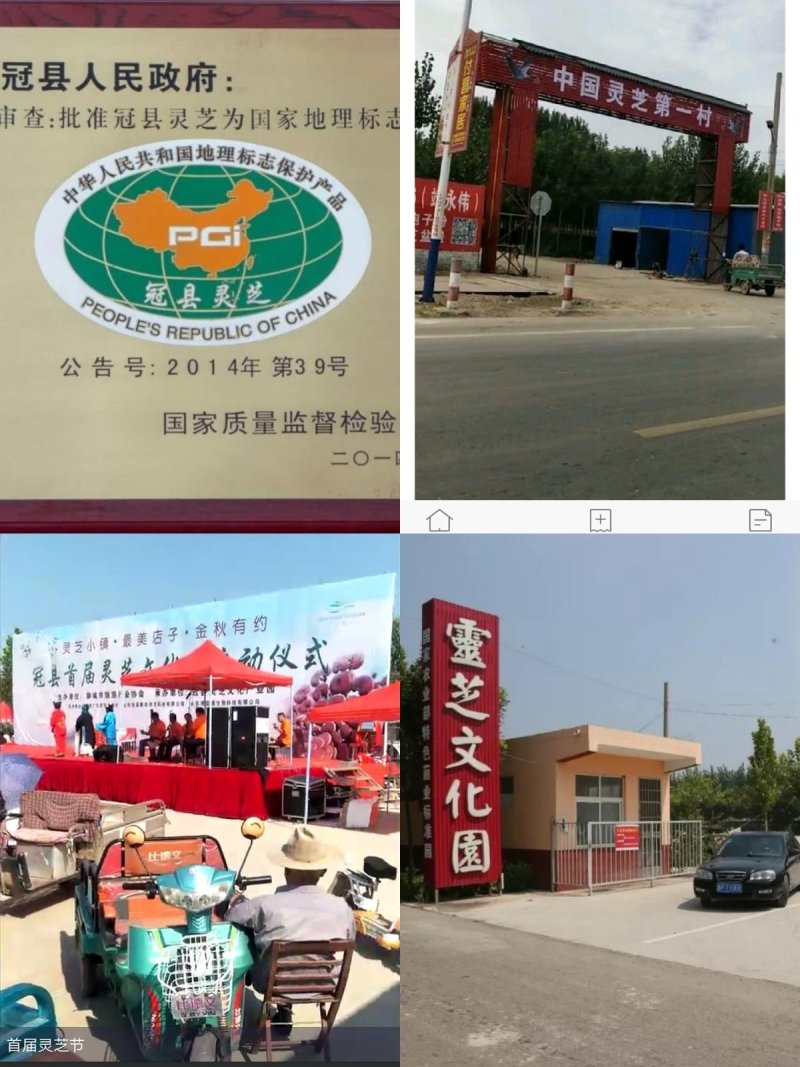 批发孢子粉，灵芝片，灵芝菌棒价格可优惠详谈