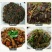 鲜魔芋豆腐，秉承传统，古法制作