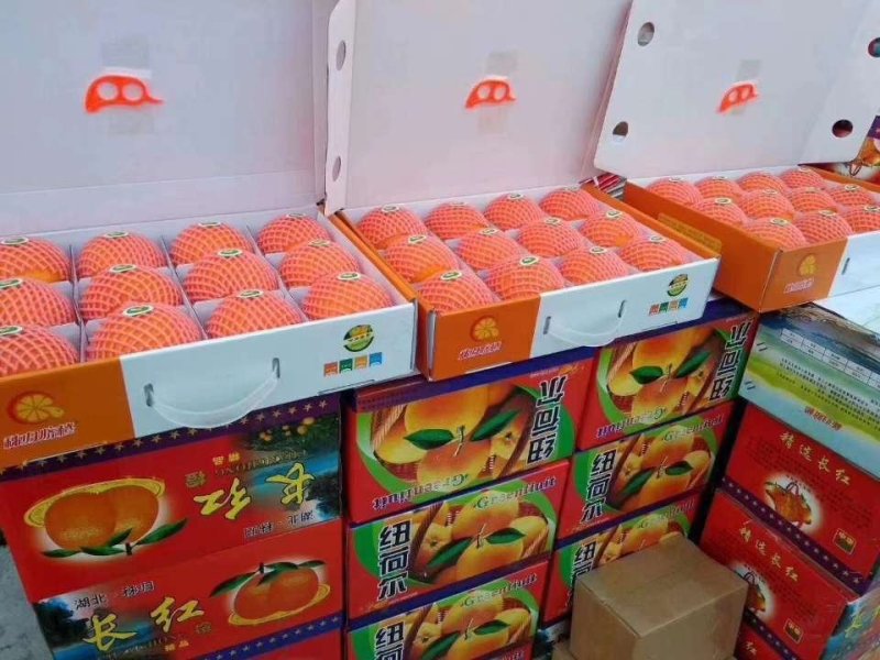 秭归血橙中华红中华红脐橙