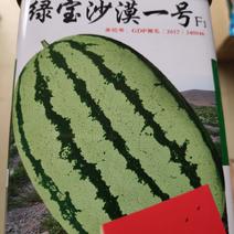 西瓜种子一绿宝沙漠一号西瓜