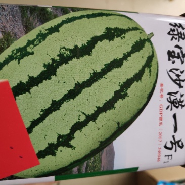 西瓜种子一绿宝沙漠一号西瓜