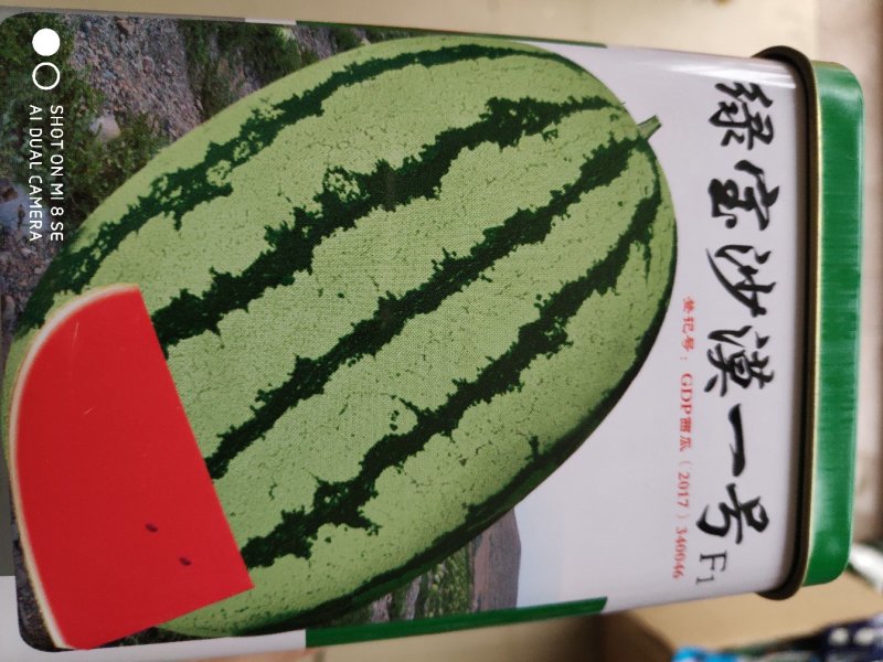 西瓜种子一绿宝沙漠一号西瓜