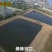 水产种苗