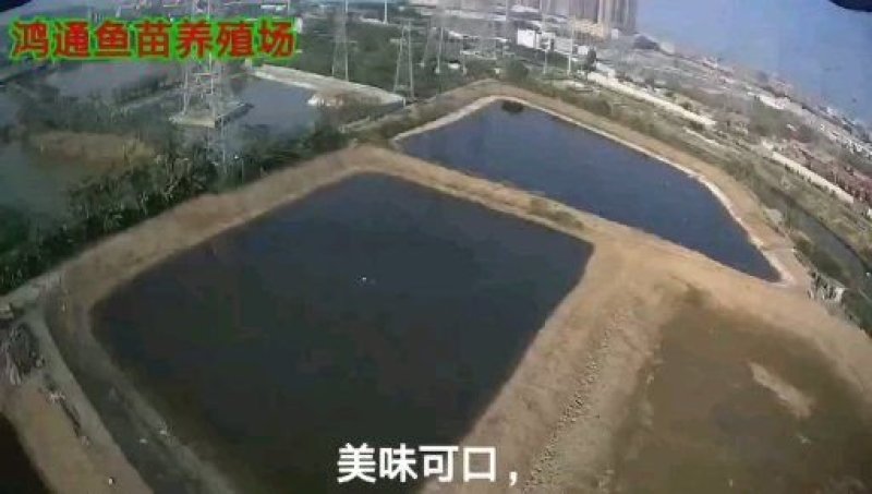 水产种苗