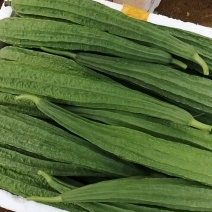 绿色蔬菜
