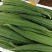 绿色蔬菜