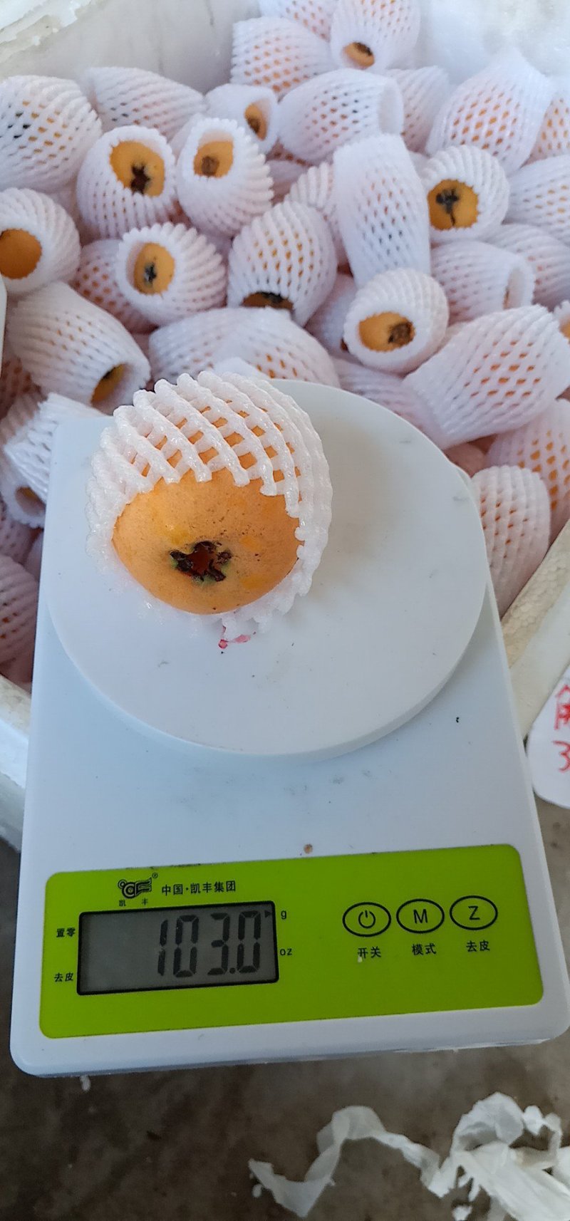 云南蒙自枇杷30克以上大果，支持空运，基地货，自产自销