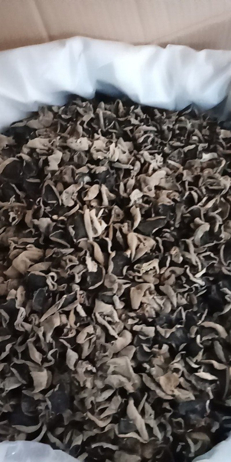 秋木耳吉林桦甸产地批发