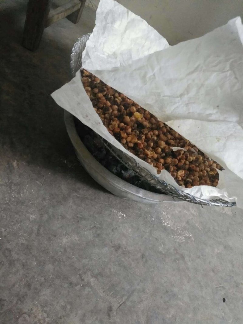 天峨特产金花茶，量不多
