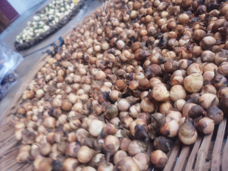 天峨特产金花茶，量不多