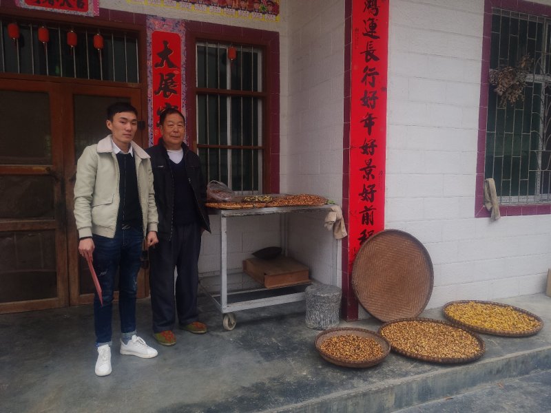 天峨特产金花茶，量不多