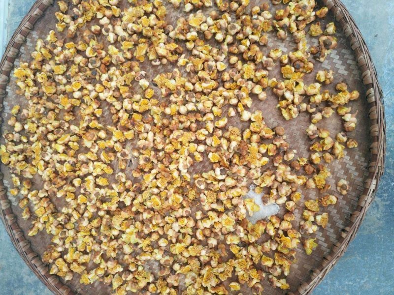 天峨特产金花茶，量不多
