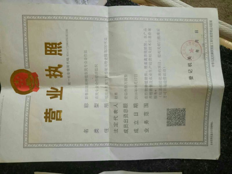 美味天鹰鸡精