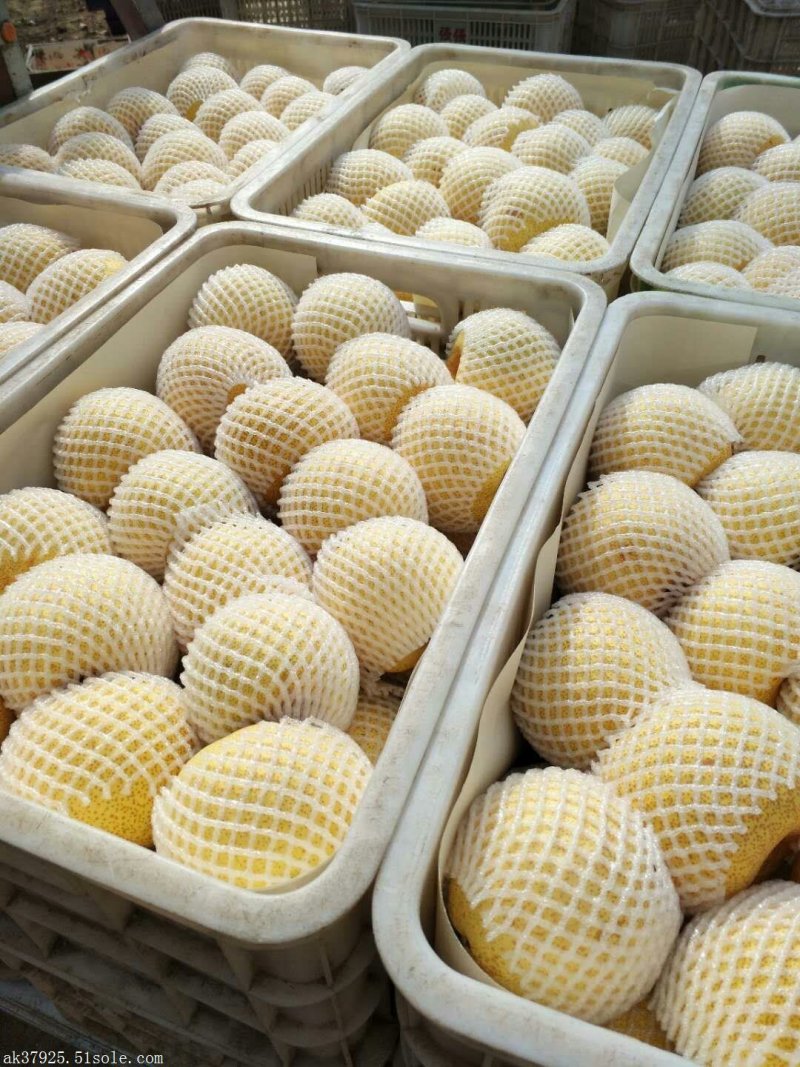 【梨】砀山梨精品礼盒包装一件代发百年品质包售后