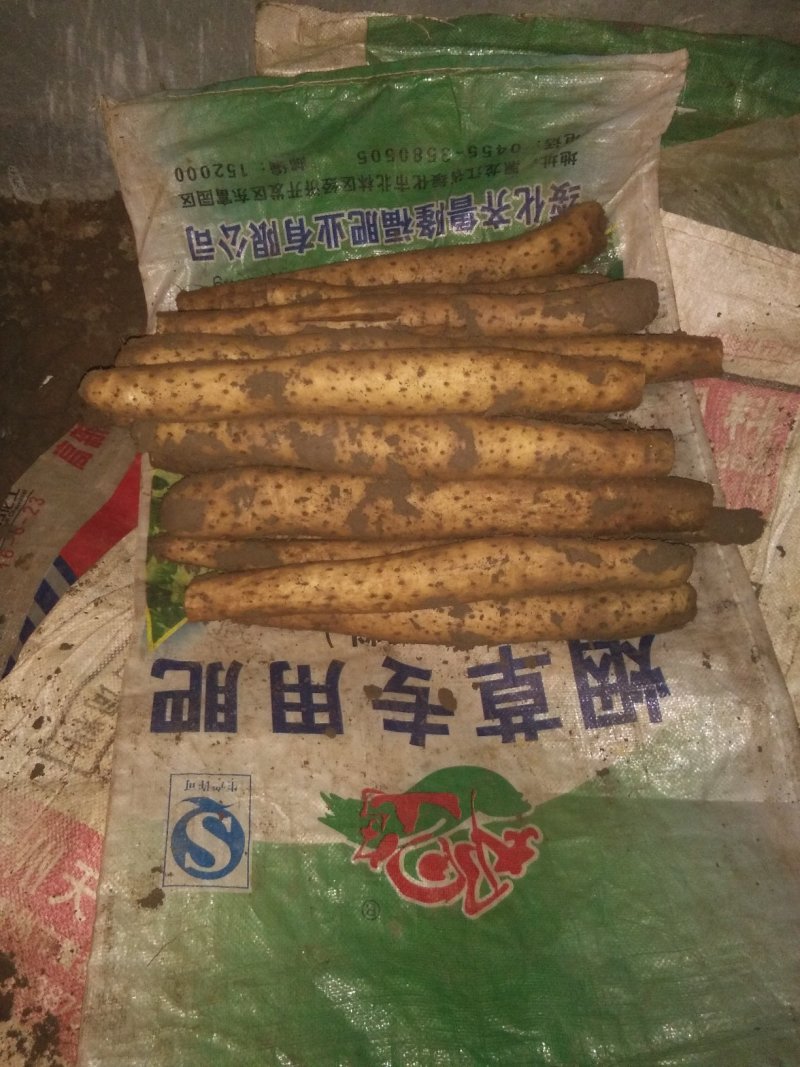 白玉山药