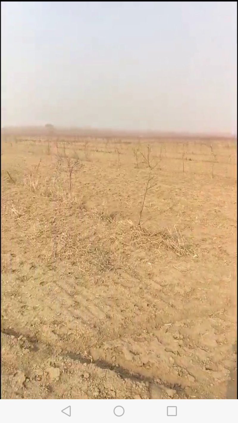 出租田地