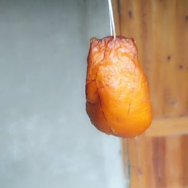 土鸡鸡宝
