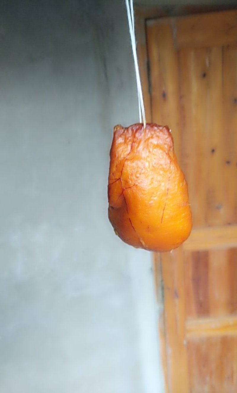 土鸡鸡宝