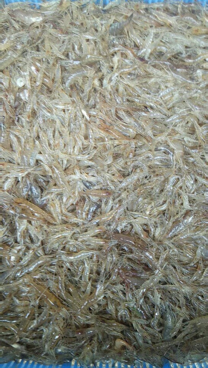 河虾，来自天然饮用水源