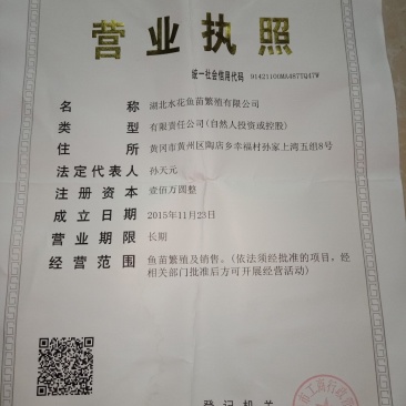 优质草鱼苗，水花，夏花，包成活，货真价实，假一赔十