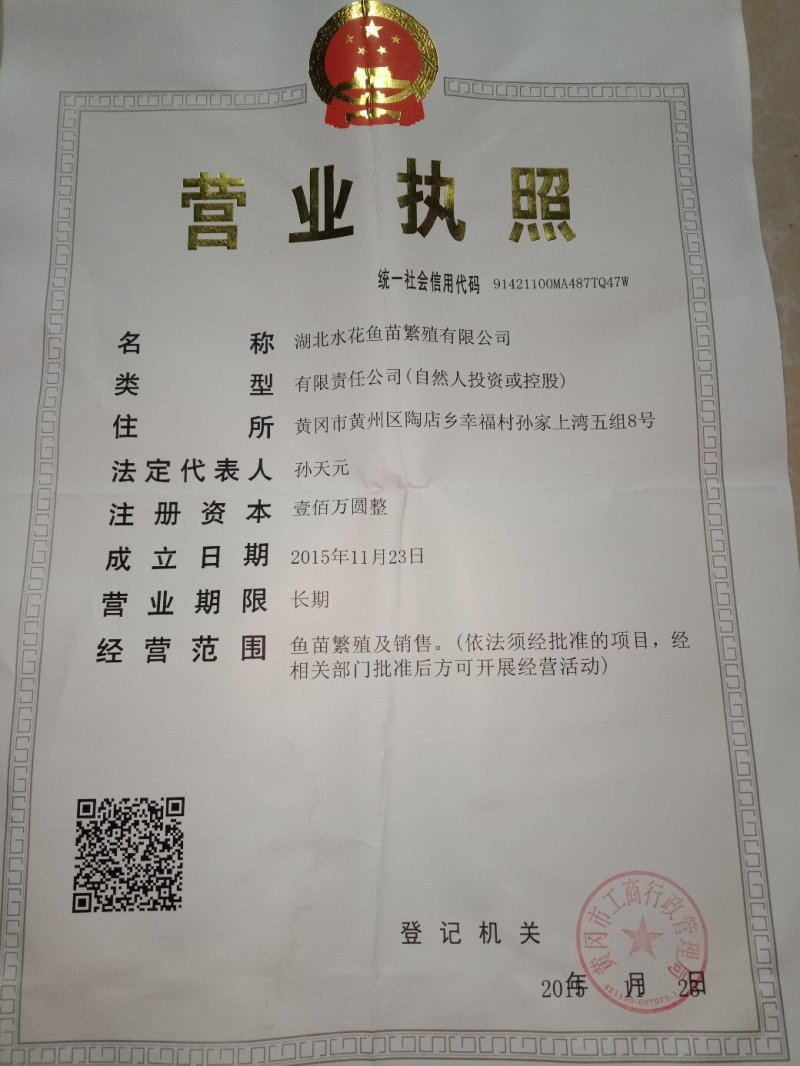 优质草鱼苗，水花，夏花，包成活，货真价实，假一赔十