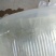 【鱼苗】翘嘴白，眼睛大，嘴巴翘，身体薄！