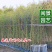钢竹高3-5米福建漳州苗木基地