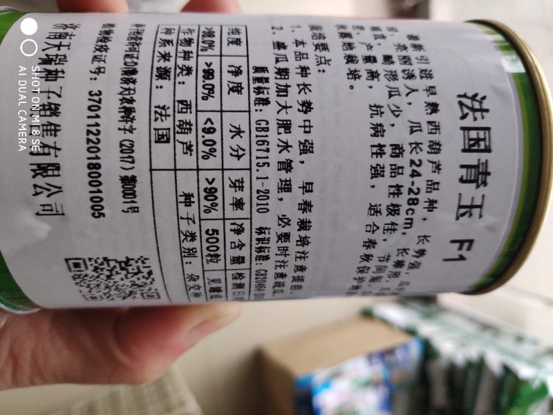 西葫芦种子法国青玉F1早熟瓜色翠绿瓜条顺直产量高