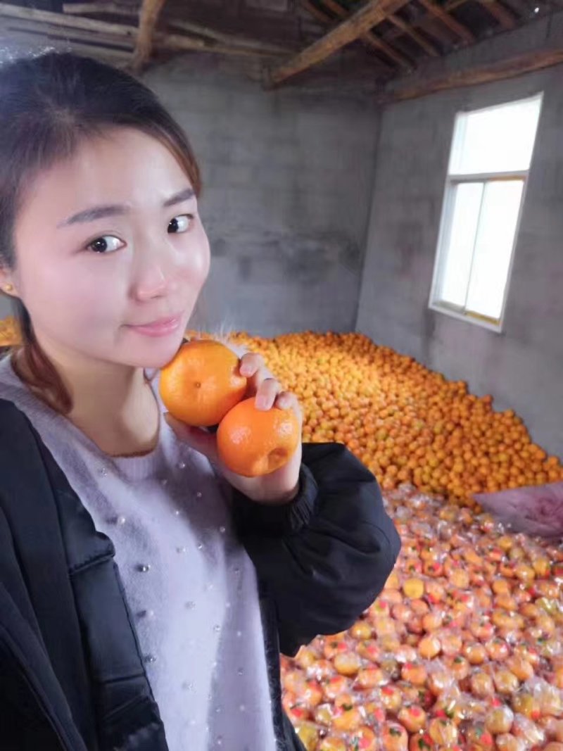 新鲜椪柑产地大量供应诚信供应商一手货源品质保障