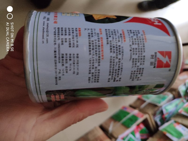 西葫芦种子时田寒翠早熟极耐寒产量高