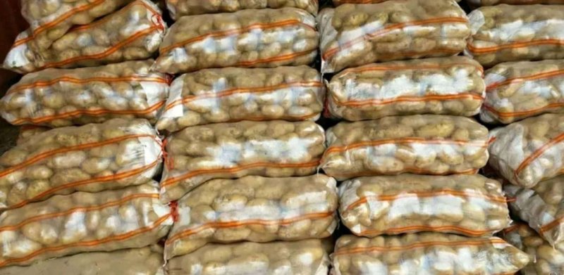 荷兰十五，精品土豆，四量起步、欢迎五湖四海的朋友前来采购