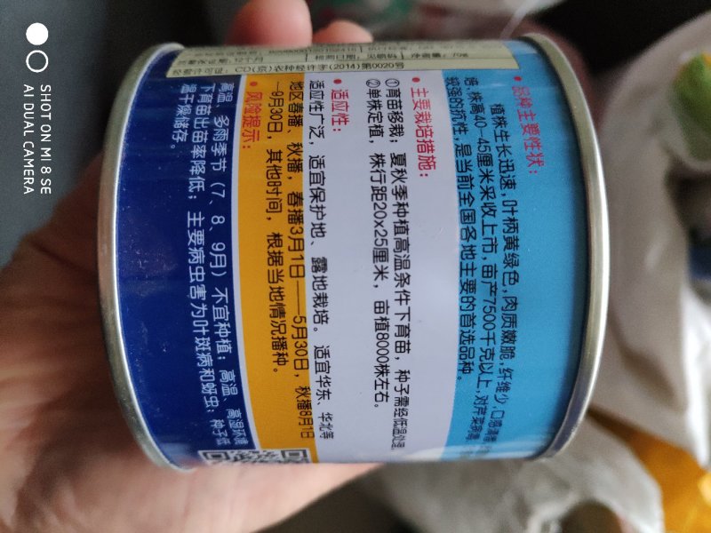 芹菜种子一速生四季西芹王