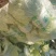 夏邑大白菜青杂三号